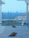 Iberotel Bodrum Princess 